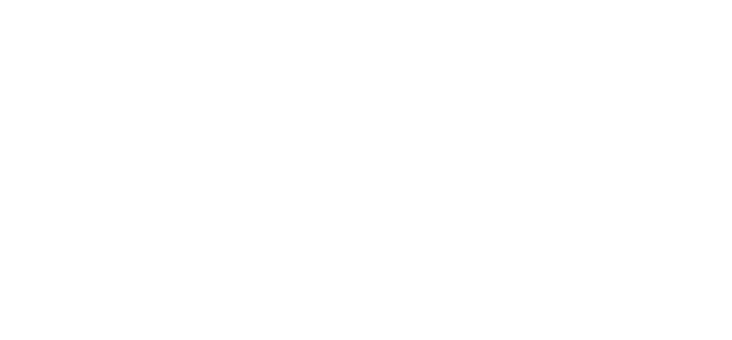 partner-29
