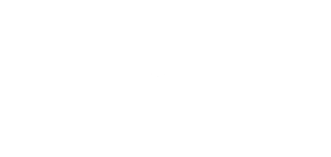 partner-51